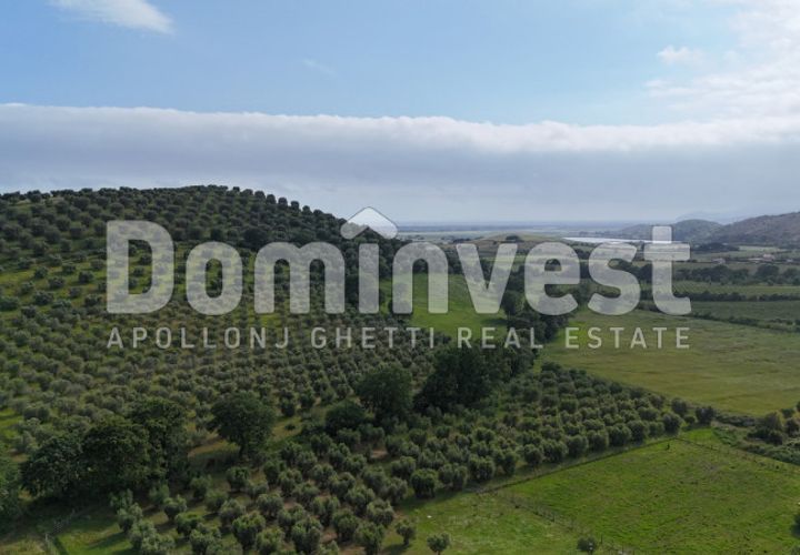 Landejendom i Capalbio, Grosseto, Capalbio - € 1.500.000 | Ref: v-0073 - foto 1