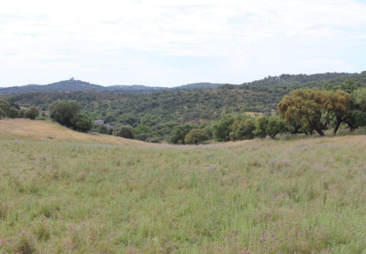 Landejendom i Borba, Evora, Borba - € 2.500.000 | Ref: ALT001/021/2024 - foto 1