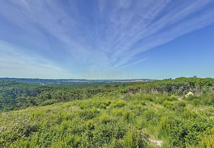 Helårsgrund i Nazare, Leiria, Nazare - € 21.500 | Ref: 1739-01911 - foto 1
