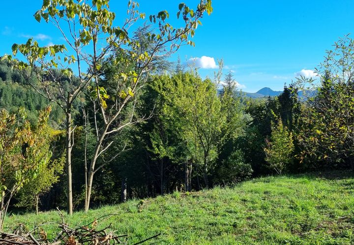Terra a Aulas, Gard, Aulas - € 65.000 | Ref: 1312 - foto 1
