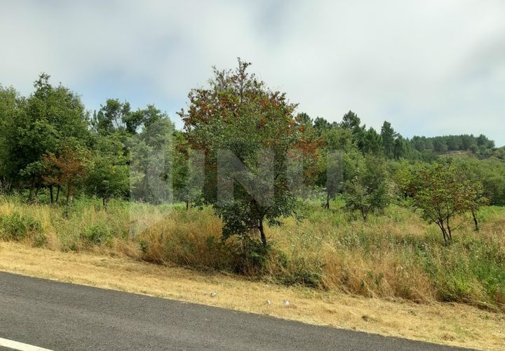 Helårsgrund i Viseu, Viseu, Viseu - € 7.000 | Ref: UNU.I.1273.15002 - foto 1