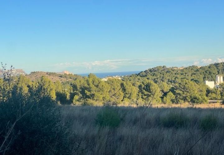 Terra a Polop, Alicante, Polop - € 700.000 | Ref: 3636b - foto 1