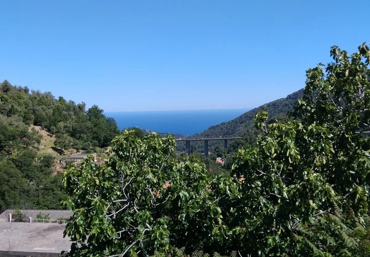 Villa a Gorbio, Alpes-Maritimes, Gorbio - € 950.000 | Ref: 84098120 - foto 1