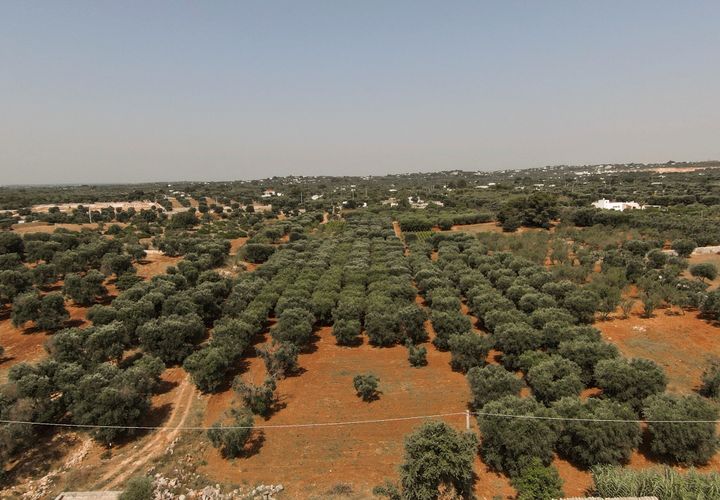 Helårsgrund i Ostuni, Brindisi, Ostuni - € 155.000 | Ref: 639 - foto 1