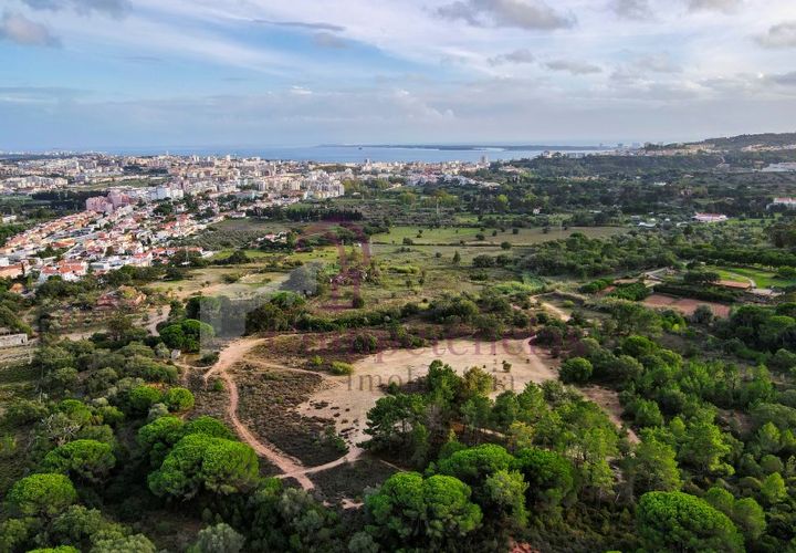 Farm i Setubal, Setubal, Setubal - € 1.200.000 | Ref: CI7809-09 - foto 1