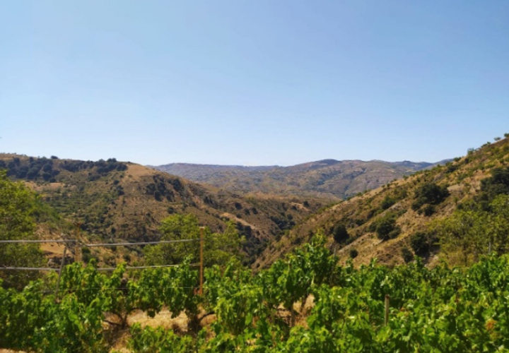 Cortijo i Castaras, Granada, Castaras - € 143.000 | Ref: 86 - foto 1