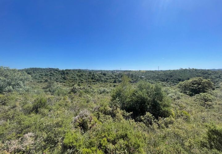 Helårsgrund i Tomar, Santarem, Tomar - € 95.000 | Ref: A382024 - foto 1