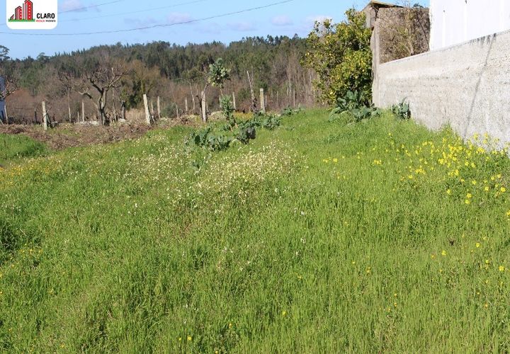 Helårsgrund i Soure, Coimbra, Soure - € 25.000 | Ref: DB3166 - foto 1