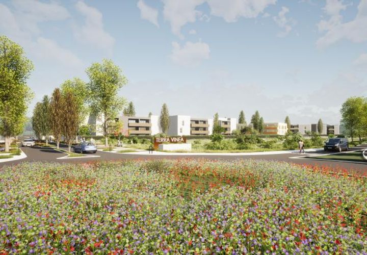 Terra a Marseillan, Herault, Marseillan - € 74.000 | Ref: 34B-TERRA_VINEA - foto 1