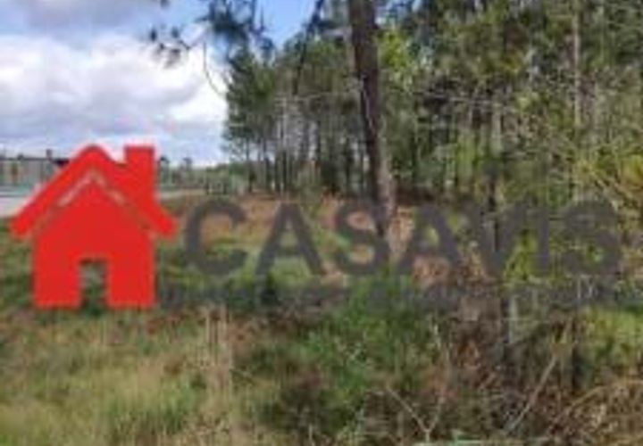 Grond in Cavernaes, Viseu, Cavernaes - € 45.000 | Ref: JC009 - foto 1