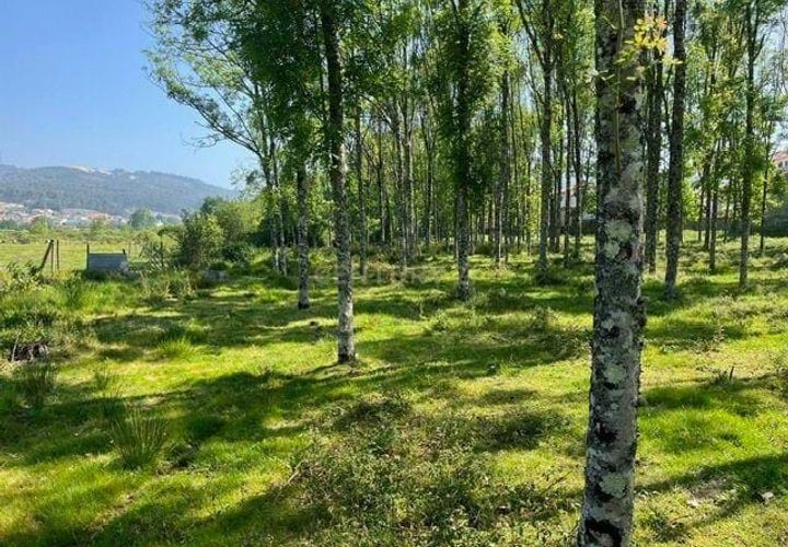 Helårsgrund i Penafiel, Porto, Penafiel - € 199.000 | Ref: C0393-01058 - foto 1