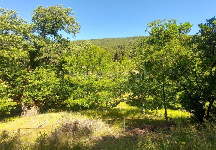 Tomt i Fundao, Castelo Branco, Fundao - € 59 500 | Ref: 255240115 - foto 1