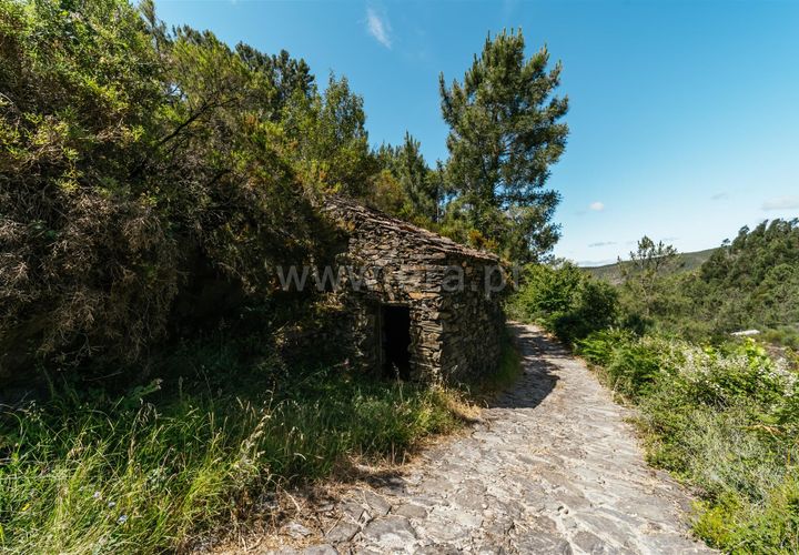 Terra a Fundao, Castelo Branco, Fundao - € 19.000 | Ref: 255240116 - foto 1