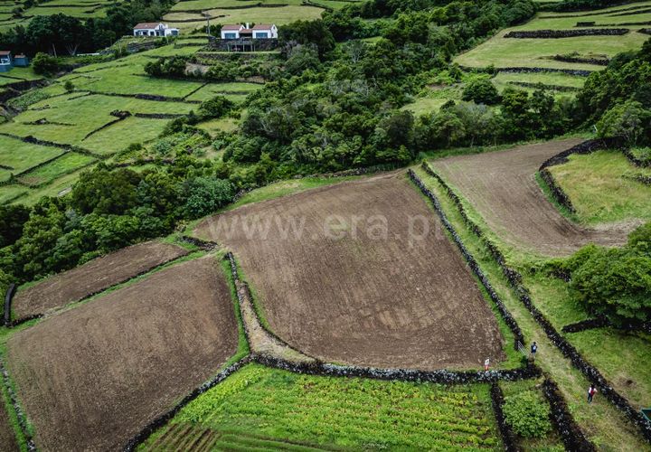 Helårsgrund i Sao Roque do Pico, Pico, Sao Roque do Pico - € 59.990 | Ref: 374230160 - foto 1