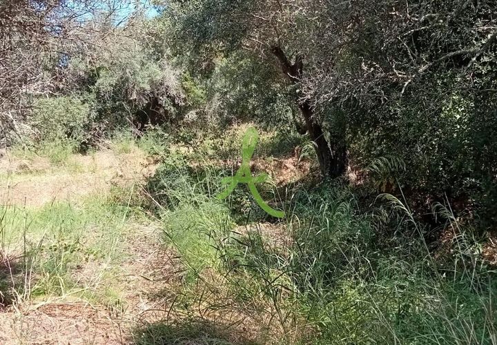 Helårsgrund i Silves, Faro, Silves - € 38.000 | Ref: SLV0036 - foto 1