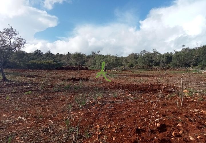 Helårsgrund i Silves, Faro, Silves - € 87.000 | Ref: SLV0037 - foto 1