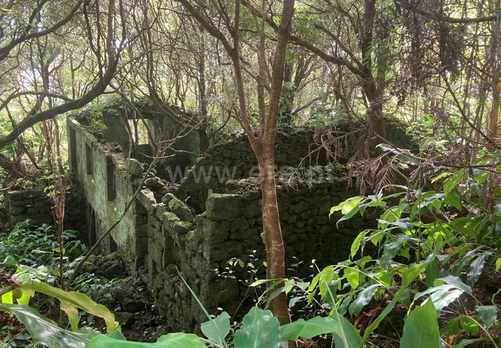 Helårsgrund i Lajes do Pico, Pico, Lajes do Pico - € 48.000 | Ref: 374220188 - foto 1