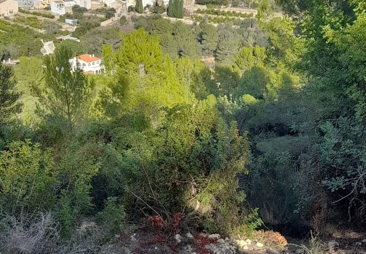 Helårsgrund i Benidoleig, Alicante, Benidoleig - € 30.000 | Ref: RS 6945 - foto 1