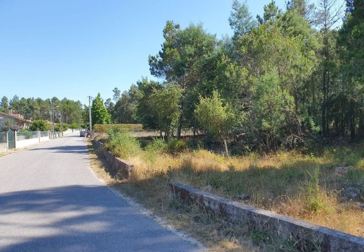 Helårsgrund i Oliveira do Conde, Viseu, Oliveira do Conde - € 25.000 | Ref: SALI0016 - foto 1
