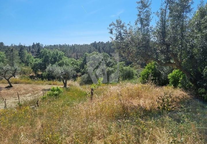 Helårsgrund i Castelo Branco, Castelo Branco, Castelo Branco - € 5.000 | Ref: H621 - foto 1