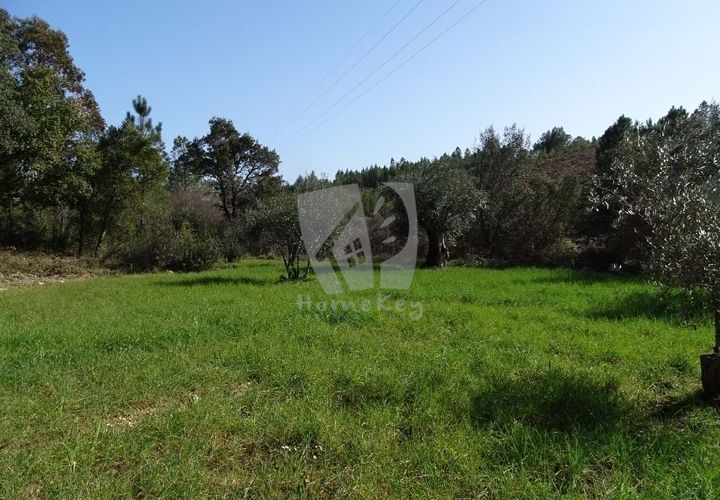 Helårsgrund i Castelo Branco, Castelo Branco, Castelo Branco - € 13.000 | Ref: H489 - foto 1