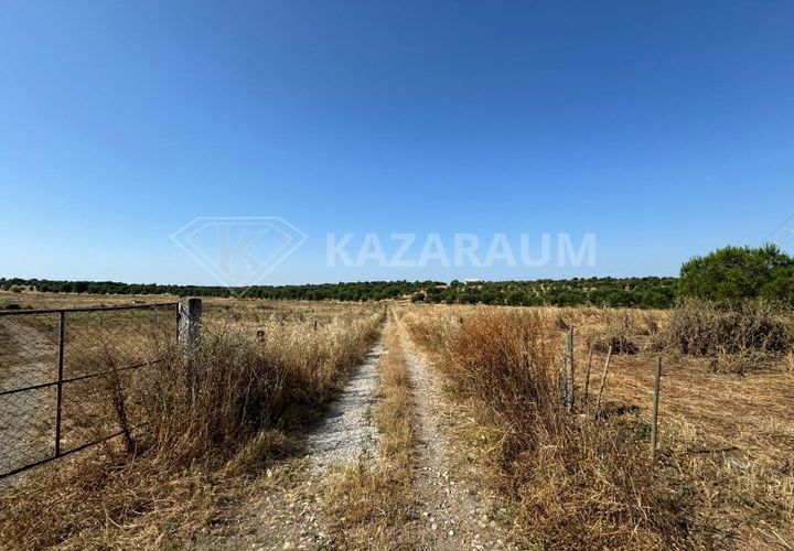 Herregård i Ourique, Beja, Ourique - € 1 200 000 | Ref: K-263 - foto 1