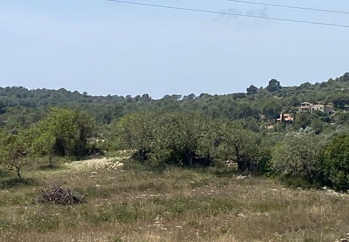 Helårsgrund i Son Servera, Mallorca, Son Servera - € 380.000 | Ref: FALC-CrYa-53403 - foto 1