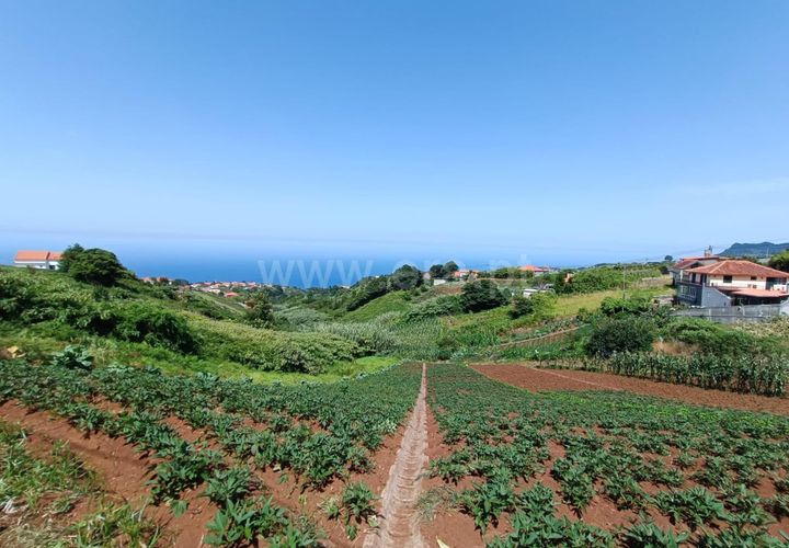 Terra a Santana, Madeira, Santana - € 59.000 | Ref: 081230178 - foto 1