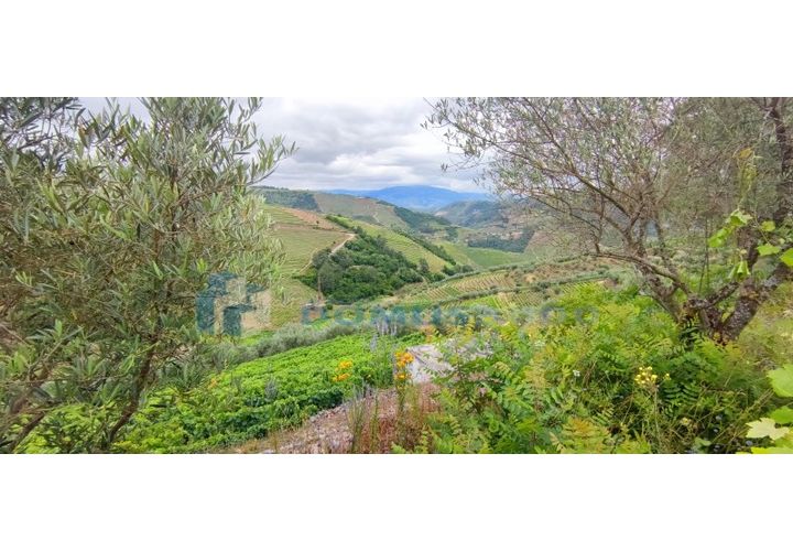 Farm i Vila Real, Vila Real, Vila Real - € 230.000 | Ref: Qta018 - foto 1