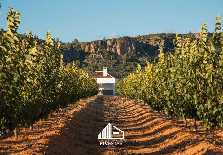 Landejendom i Turis, Valencia, Turis - € 375.000 | Ref: 5STR492019 - foto 1