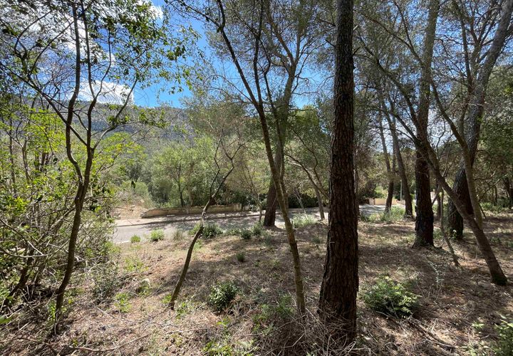 Terra a Sa Pobla, Mallorca, Sa Pobla - € 350.000 | Ref: 79661 - foto 1