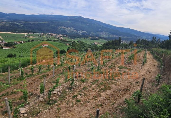 Terra a Ceivaes e Badim, Viana do Castelo, Ceivaes e Badim - € 18.000 | Ref: SAFTI:005451 - foto 1