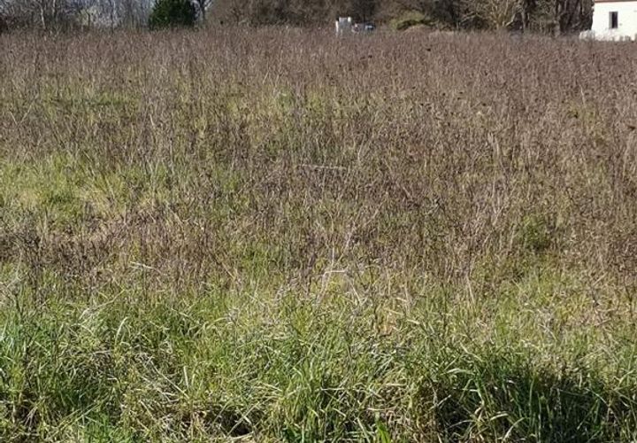 Terra a Bois, Charente-Maritime, Bois - € 23.220 | Ref: SP3376 - foto 1