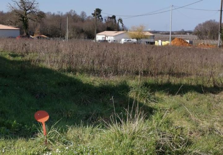 Terra a Bois, Charente-Maritime, Bois - € 23.600 | Ref: SP3375 - foto 1