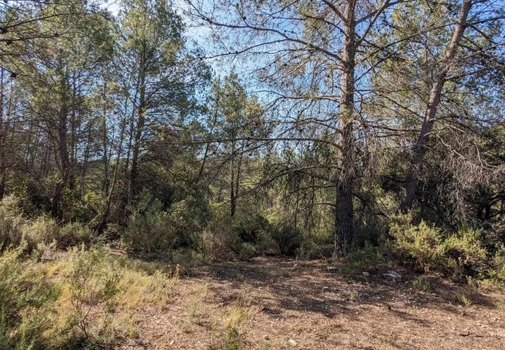 Helårsgrund i Carcès, Var, Carcès - € 17.000 | Ref: 3512 - foto 1