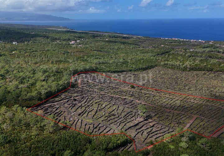 Helårsgrund i Sao Roque do Pico, Pico, Sao Roque do Pico - € 165.000 | Ref: 374240167 - foto 1