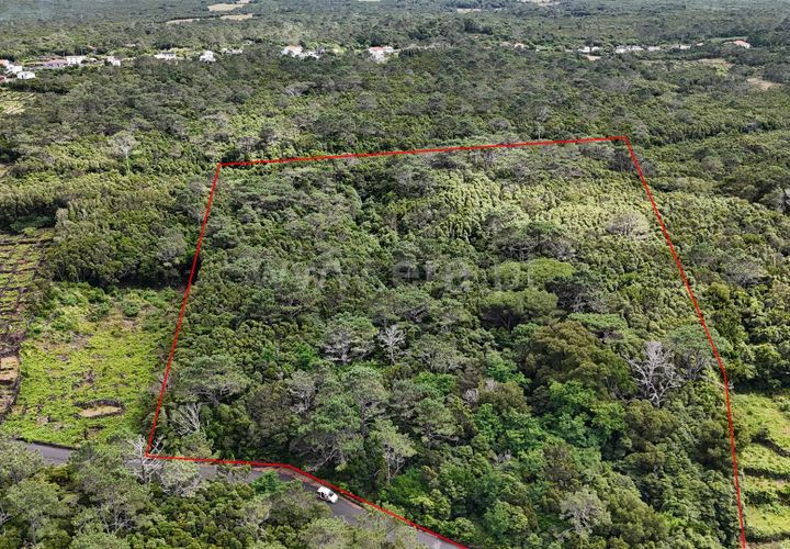Helårsgrund i Sao Roque do Pico, Pico, Sao Roque do Pico - € 185.000 | Ref: 374240170 - foto 1