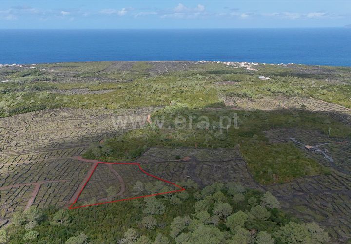 Helårsgrund i Sao Roque do Pico, Pico, Sao Roque do Pico - € 39.000 | Ref: 374240169 - foto 1