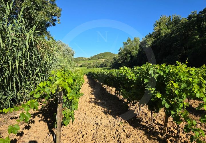 Helårsgrund i Matacaes, Lisbon, Matacaes - € 65.000 | Ref: WH21090-125 - foto 1