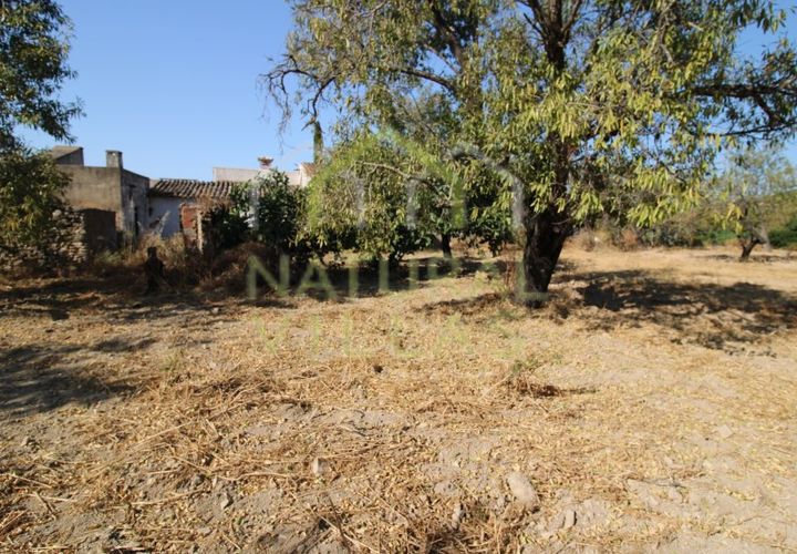 Helårsgrund i Estoi, Faro, Estoi - € 195.000 | Ref: TER_2673_VEND - foto 1
