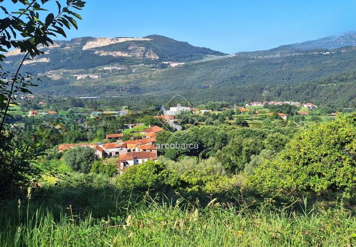 Terra a Ponte de Lima, Viana do Castelo, Ponte de Lima - € 75.000 | Ref: AV6020 - foto 1