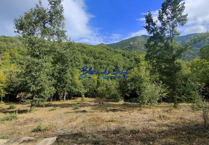 Terra a Villerach, Pyrenees-Orientales, Villerach - € 56.000 | Ref: 2458-BLEUDUSUD2 - foto 1