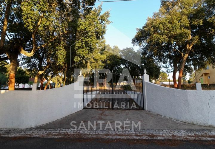 Terra a Chamusca, Santarem, Chamusca - € 42.000 | Ref: 8577 - foto 1