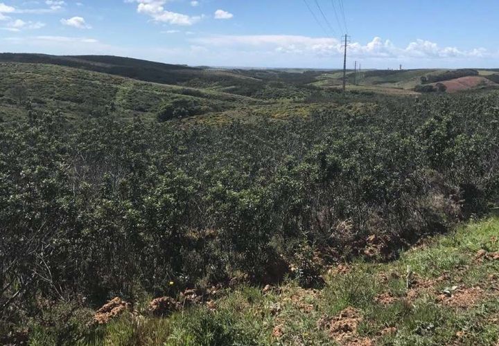 Helårsgrund i Sagres, Faro, Sagres - € 20.000 | Ref: T-146 - foto 1