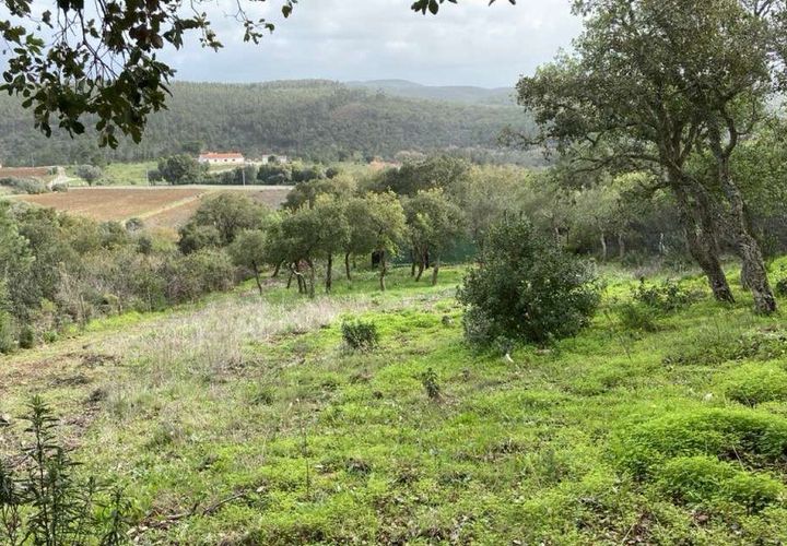 Terra a Aljezur, Faro, Aljezur - € 185.000 | Ref: T-467 - foto 1