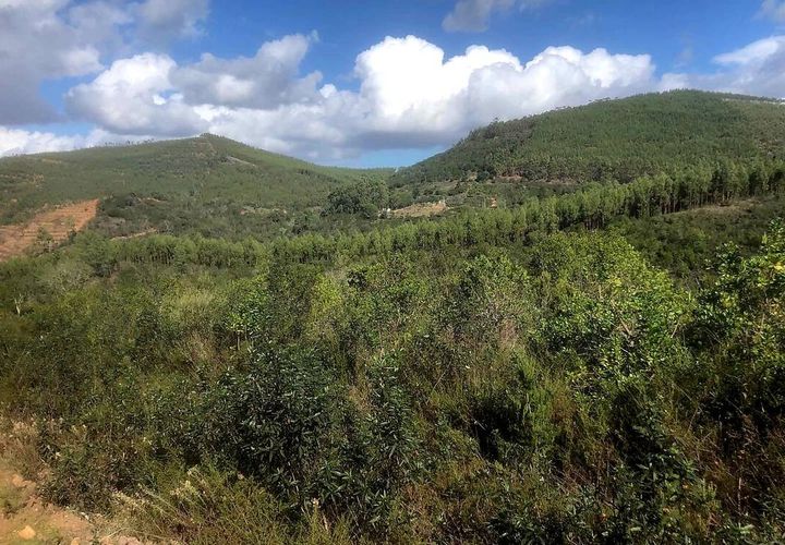 Helårsgrund i Odemira, Beja, Odemira - € 120.000 | Ref: T-765 - foto 1