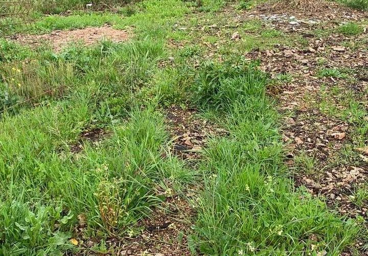 Helårsgrund i Odemira, Beja, Odemira - € 100.000 | Ref: T-548 - foto 1