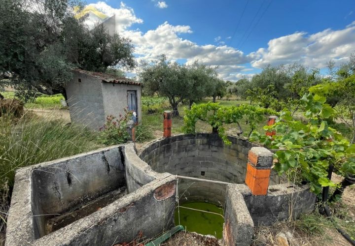 Helårsgrund i Castelo Branco, Castelo Branco, Castelo Branco - € 9.000 | Ref: 4691 - foto 1