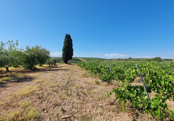 Helårsgrund i Menfi, Agrigento, Menfi - € 78.000 | Ref: 8682TG61970 - foto 1