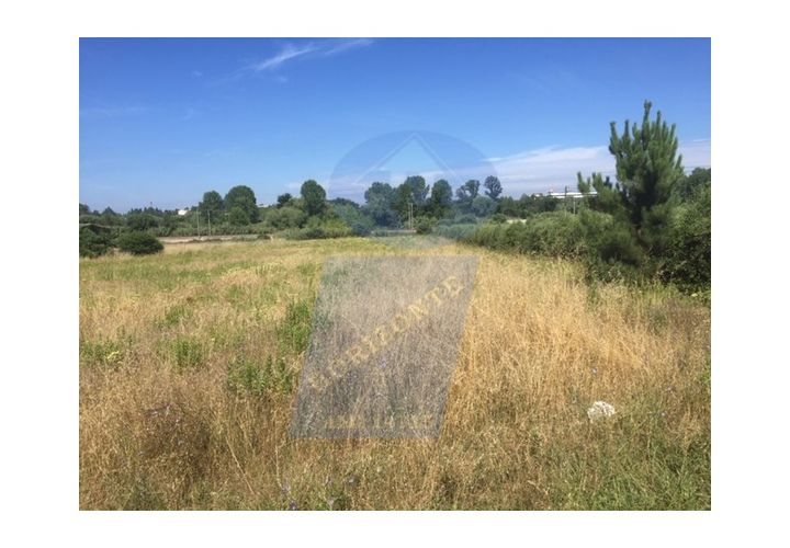 Helårsgrund i Anadia, Aveiro, Anadia - € 58.000 | Ref: TER_702 - foto 1